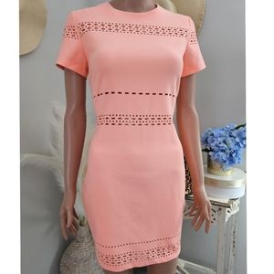 Size 8 Elizabeth & James Orange Sherbet See Through Laser Cut Bodycon Mini Dress